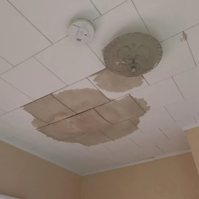 Ceiling Water Damage Repair in French Settlement, LA
